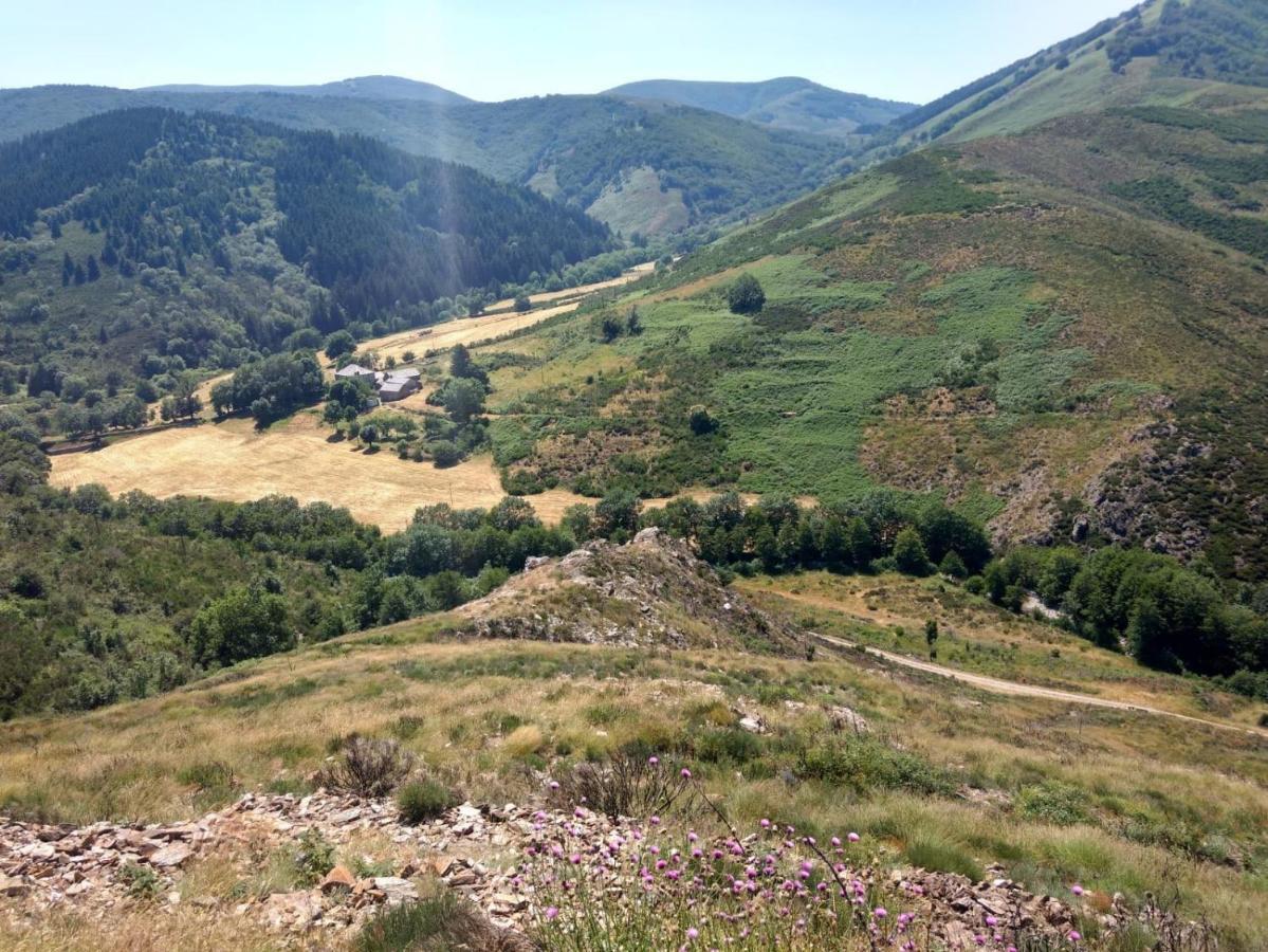 Mas Mialou Daire Saint-Jean-du-Gard Dış mekan fotoğraf