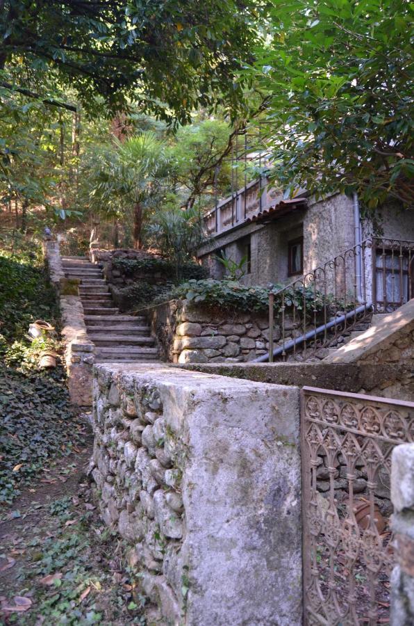 Mas Mialou Daire Saint-Jean-du-Gard Dış mekan fotoğraf